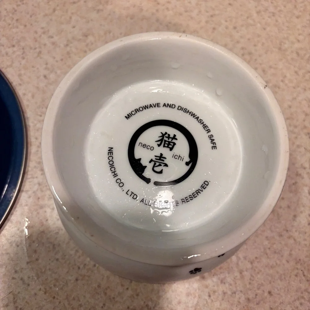 Necoichi raised ceramic
